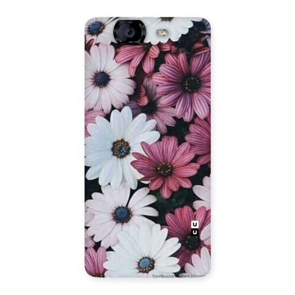 Floral Shades Pink Back Case for Canvas Knight A350