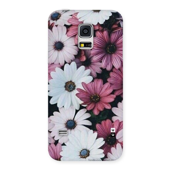 Floral Shades Pink Back Case for Galaxy S5 Mini