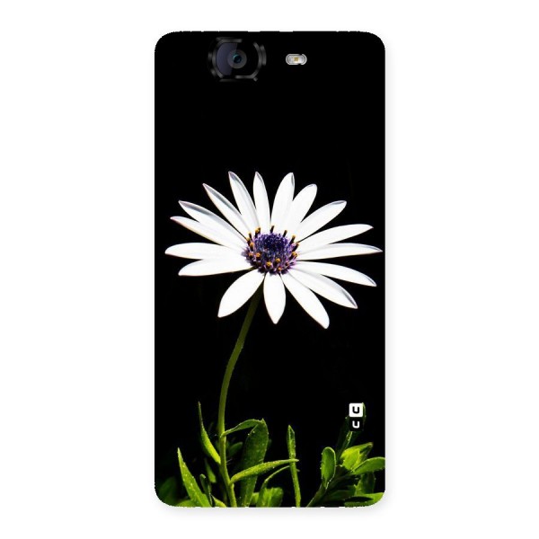 Flower White Spring Back Case for Canvas Knight A350