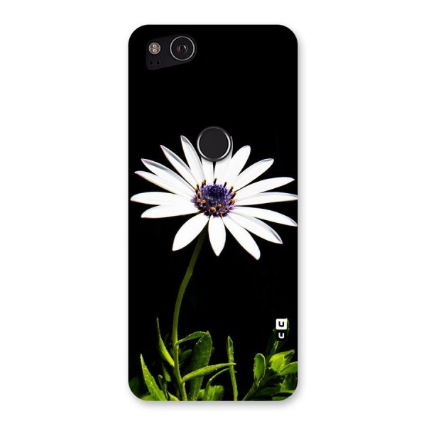 Flower White Spring Back Case for Google Pixel 2