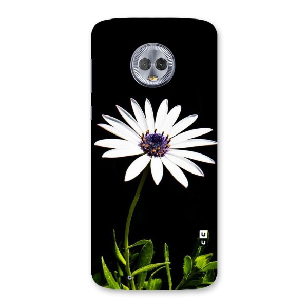 Flower White Spring Back Case for Moto G6