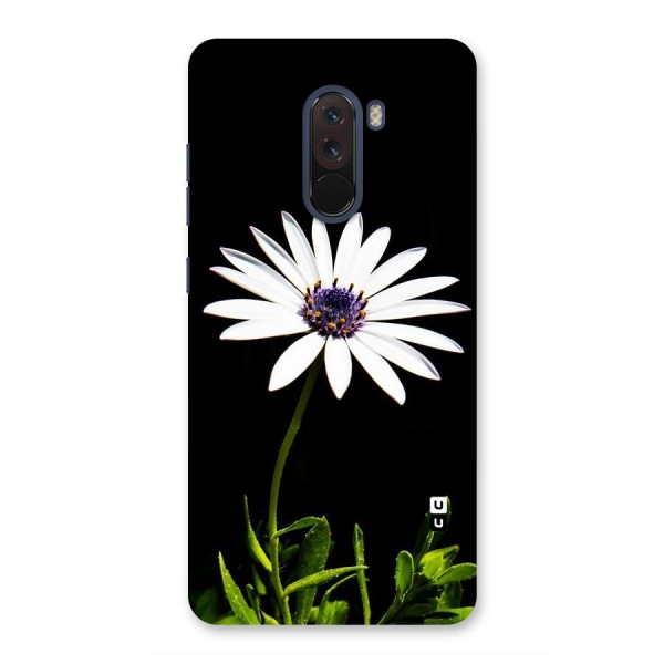 Flower White Spring Back Case for Poco F1