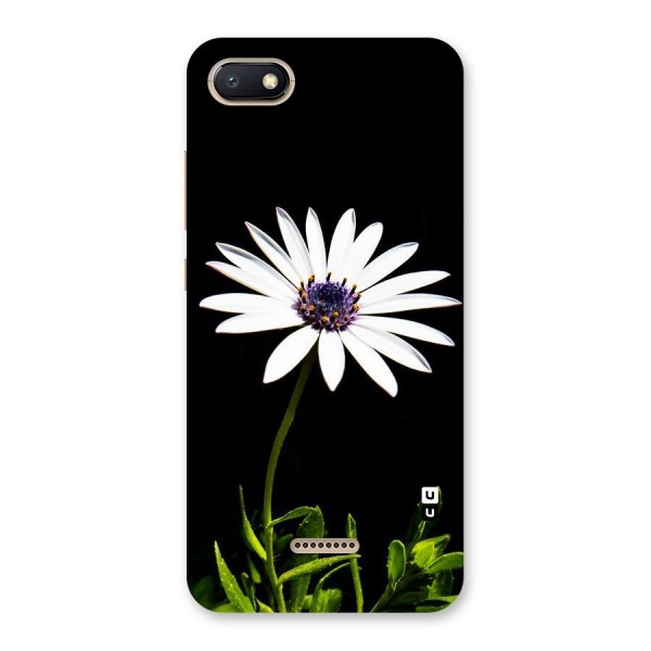 Flower White Spring Back Case for Redmi 6A