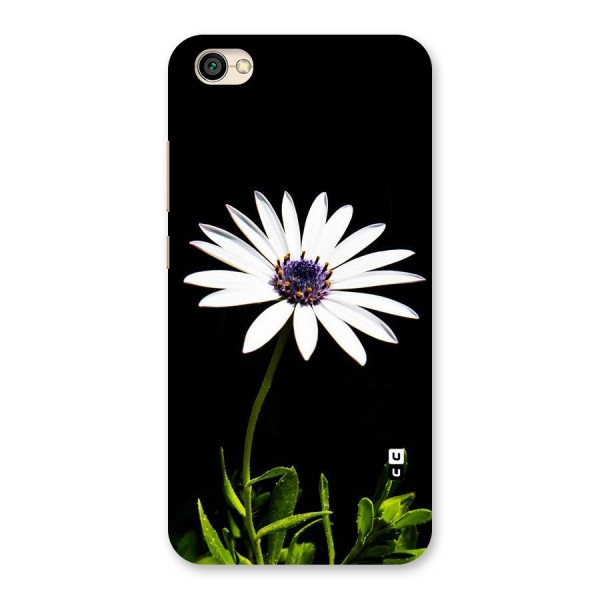 Flower White Spring Back Case for Redmi Y1 Lite