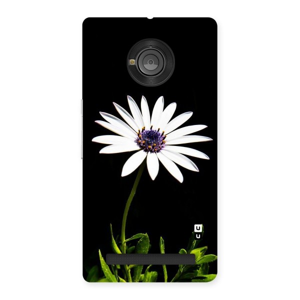 Flower White Spring Back Case for Yu Yuphoria