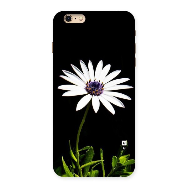 Flower White Spring Back Case for iPhone 6 Plus 6S Plus