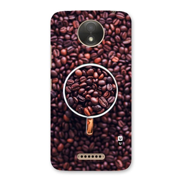 Focus Coffee Beans Back Case for Moto C Plus