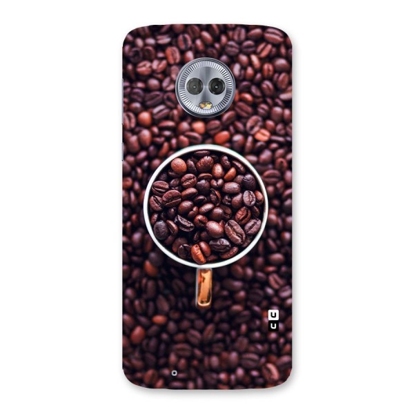 Focus Coffee Beans Back Case for Moto G6