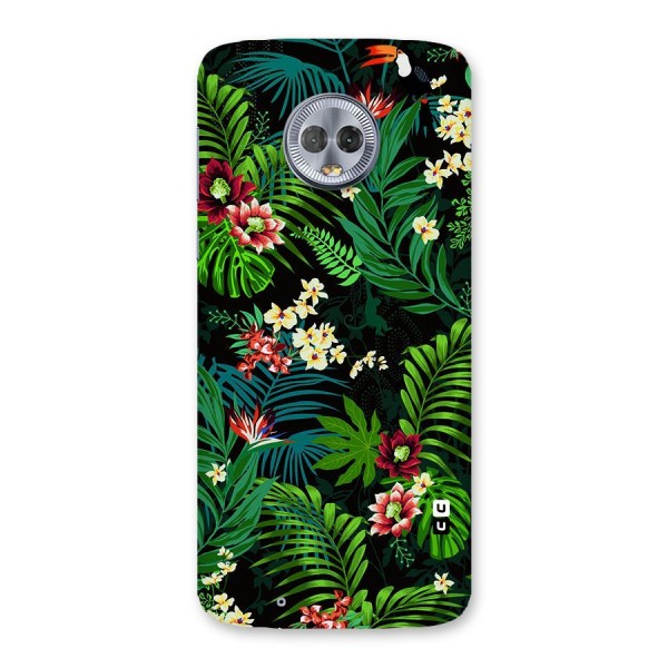 Green Leaf Design Back Case for Moto G6