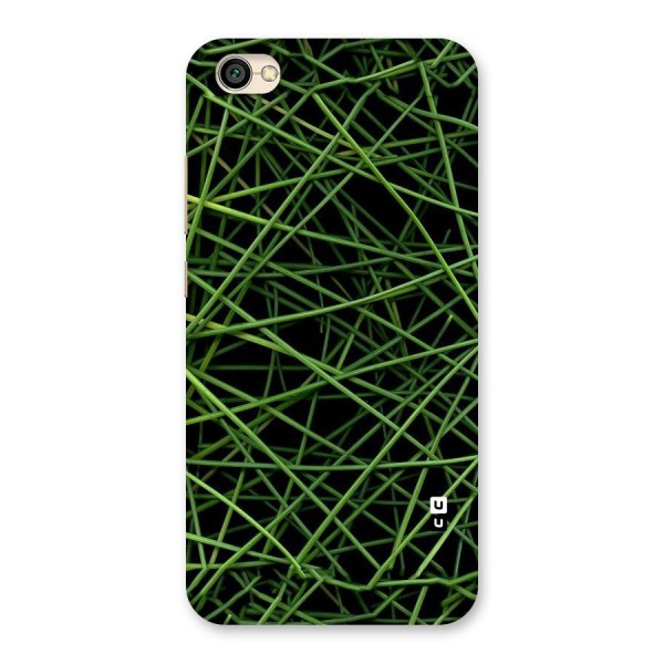 Green Lines Back Case for Redmi Y1 Lite