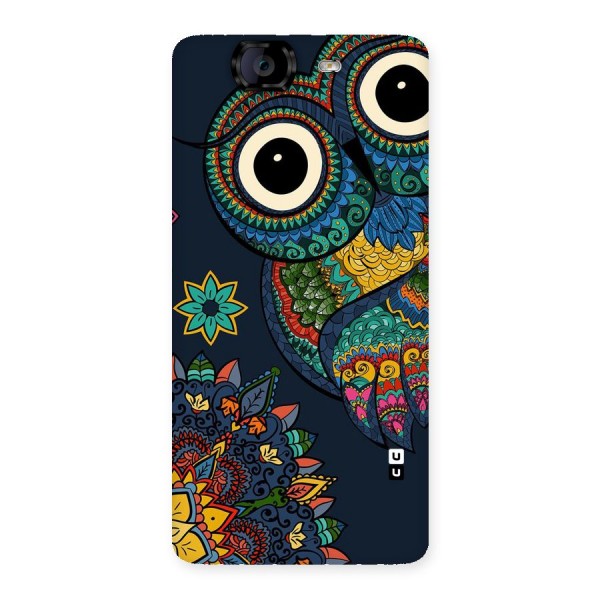 Owl Eyes Back Case for Canvas Knight A350