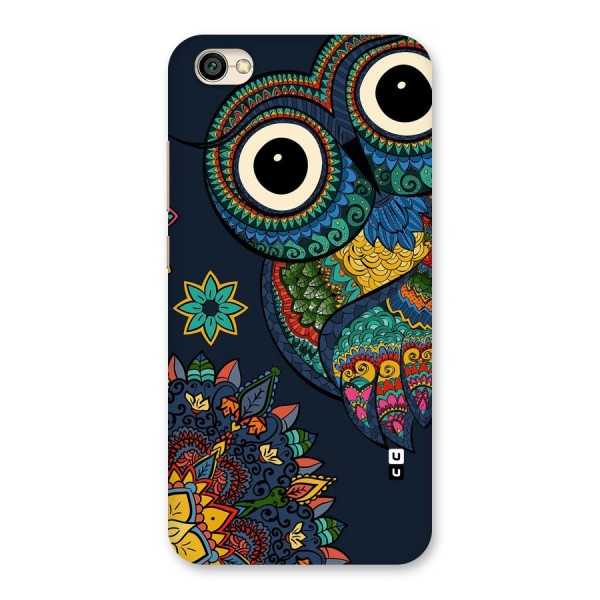 Owl Eyes Back Case for Redmi Y1 Lite