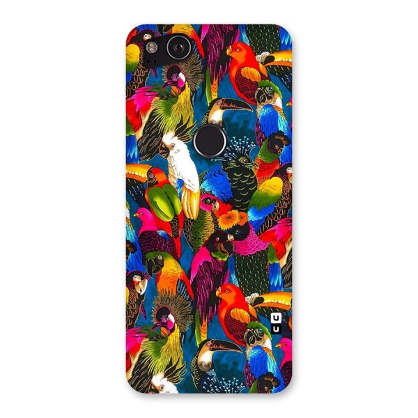 Parrot Art Back Case for Google Pixel 2