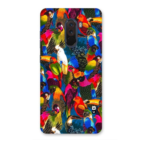 Parrot Art Back Case for Poco F1