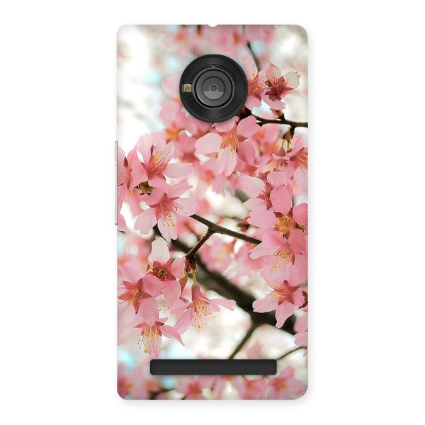 Peach Floral Back Case for Yu Yuphoria