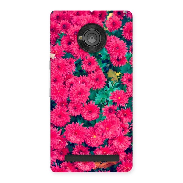 Pink Flowers Back Case for Yu Yuphoria