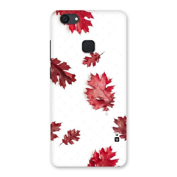 Red Appealing Autumn Leaves Back Case for Vivo V7 Plus