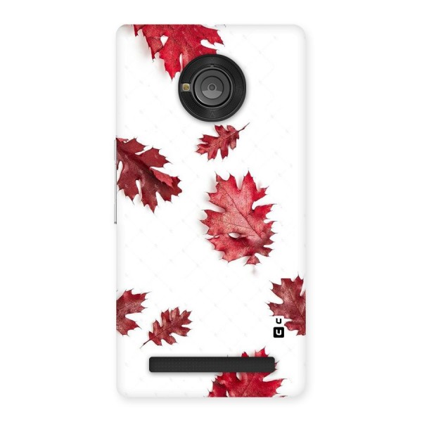 Red Appealing Autumn Leaves Back Case for Yu Yuphoria