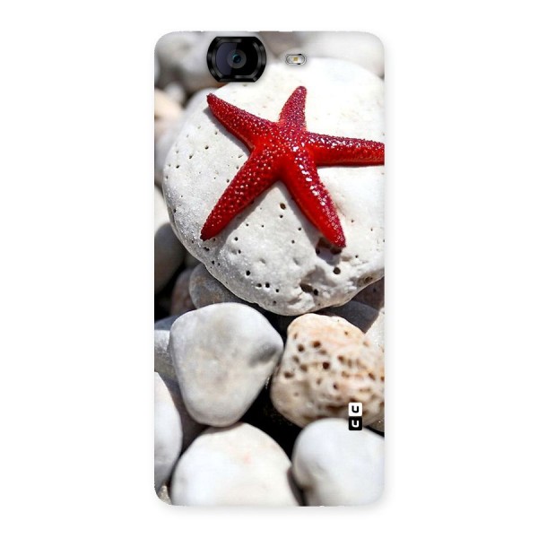 Red Star Fish Back Case for Canvas Knight A350