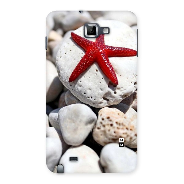 Red Star Fish Back Case for Galaxy Note