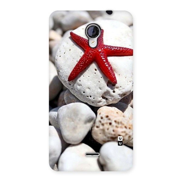 Red Star Fish Back Case for Micromax Unite 2 A106