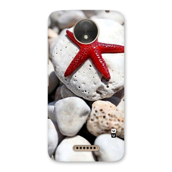 Red Star Fish Back Case for Moto C Plus