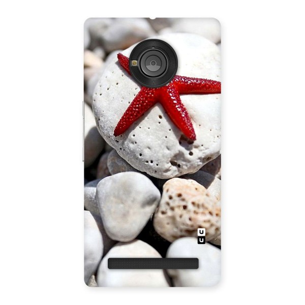 Red Star Fish Back Case for Yu Yuphoria