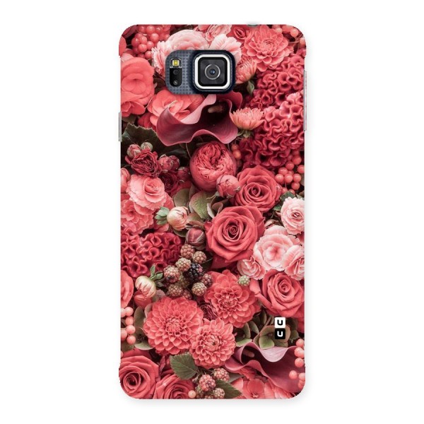 Shades Of Peach Back Case for Galaxy Alpha