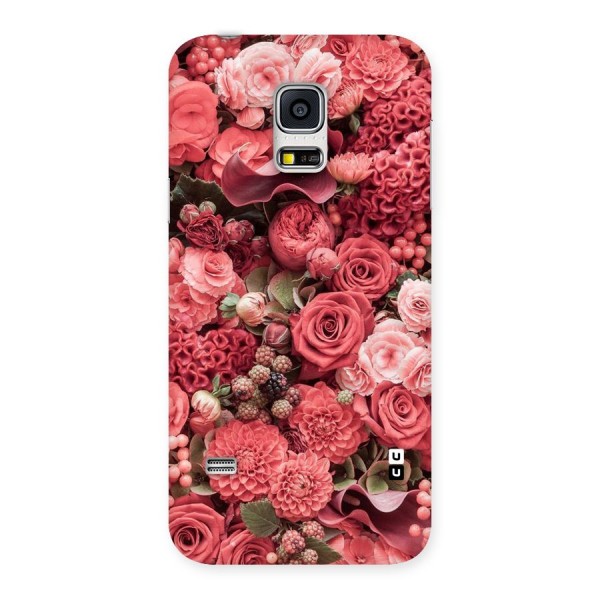 Shades Of Peach Back Case for Galaxy S5 Mini