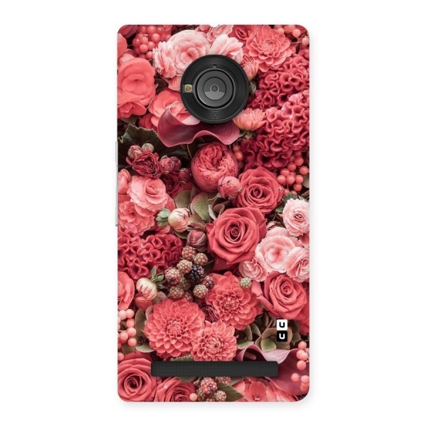 Shades Of Peach Back Case for Yu Yuphoria