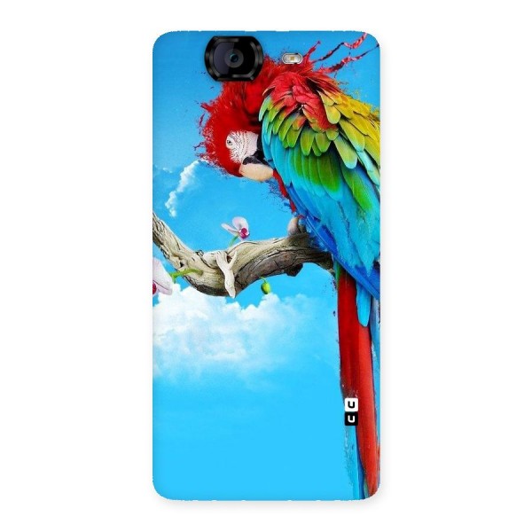 Sky Parrot Back Case for Canvas Knight A350