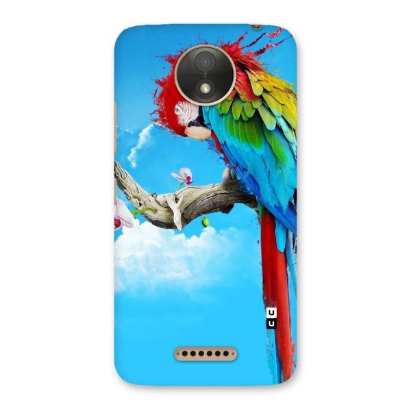 Sky Parrot Back Case for Moto C Plus