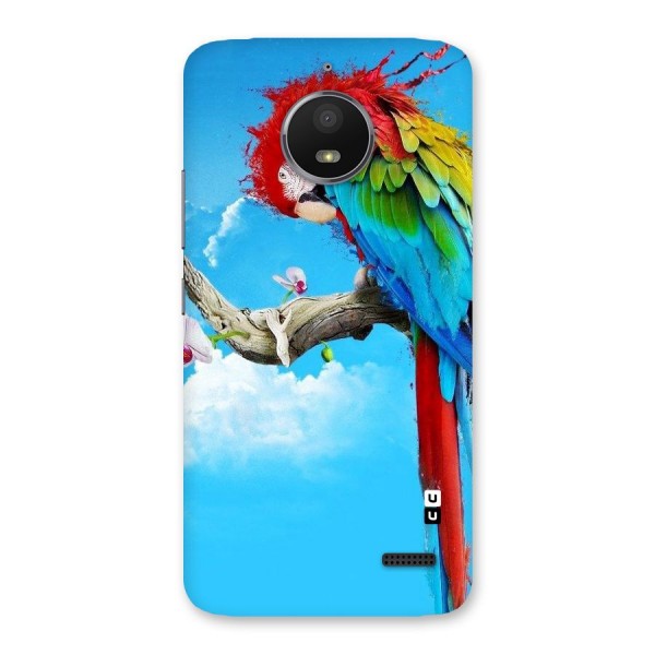 Sky Parrot Back Case for Moto E4