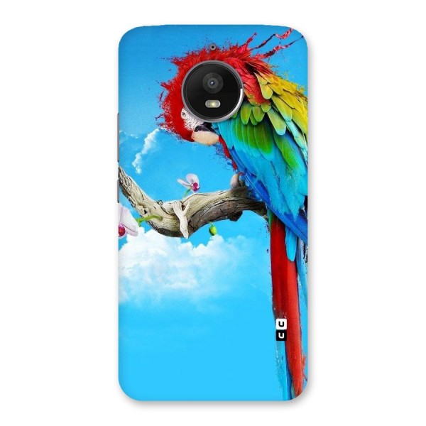 Sky Parrot Back Case for Moto E4 Plus