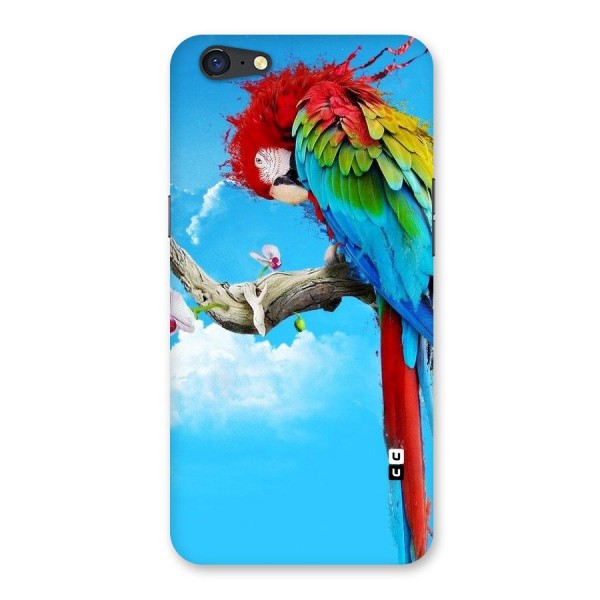 Sky Parrot Back Case for Oppo A71