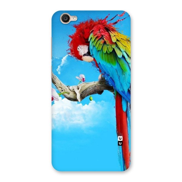 Sky Parrot Back Case for Vivo Y55s