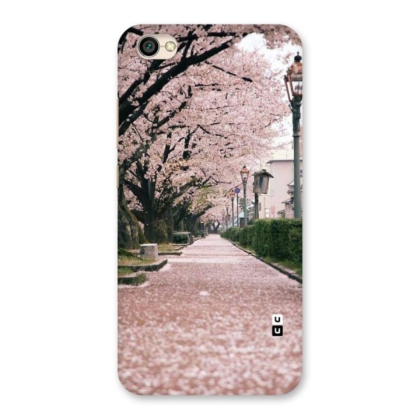 Street In Pink Flowers Back Case for Redmi Y1 Lite