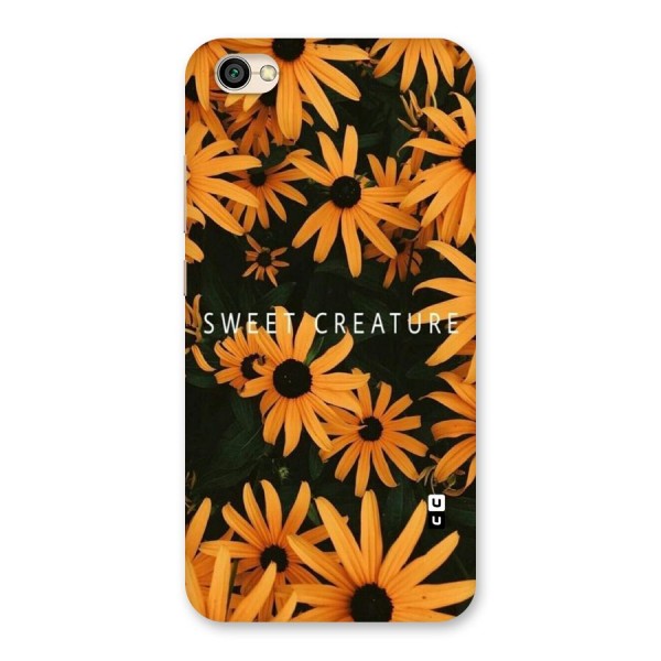 Sweet Creature Back Case for Redmi Y1 Lite