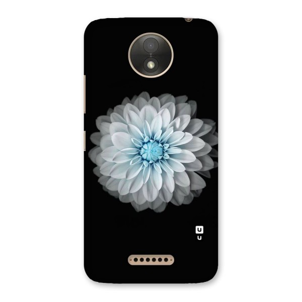 White Bloom Back Case for Moto C Plus