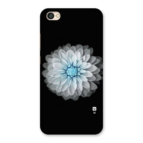 White Bloom Back Case for Redmi Y1 Lite