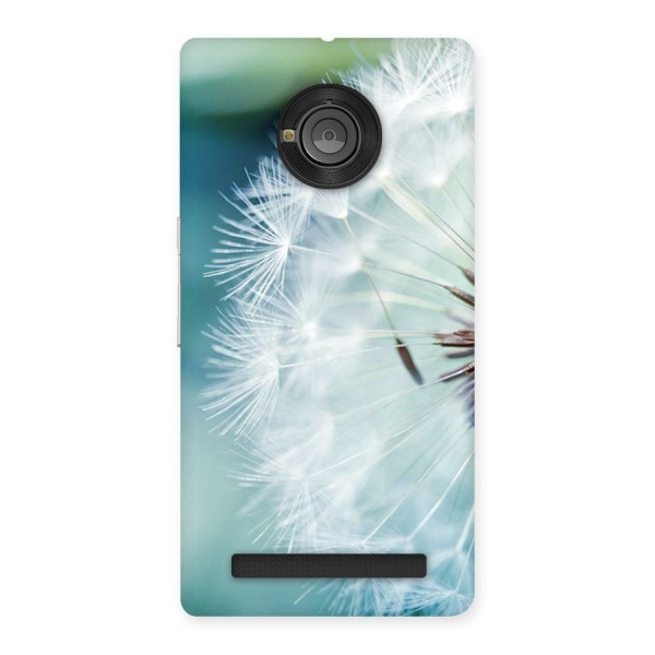 Wish Floral Back Case for Yu Yuphoria