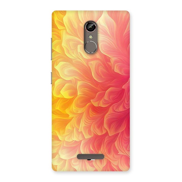 Amazing Vibrant Pattern Back Case for Gionee S6s