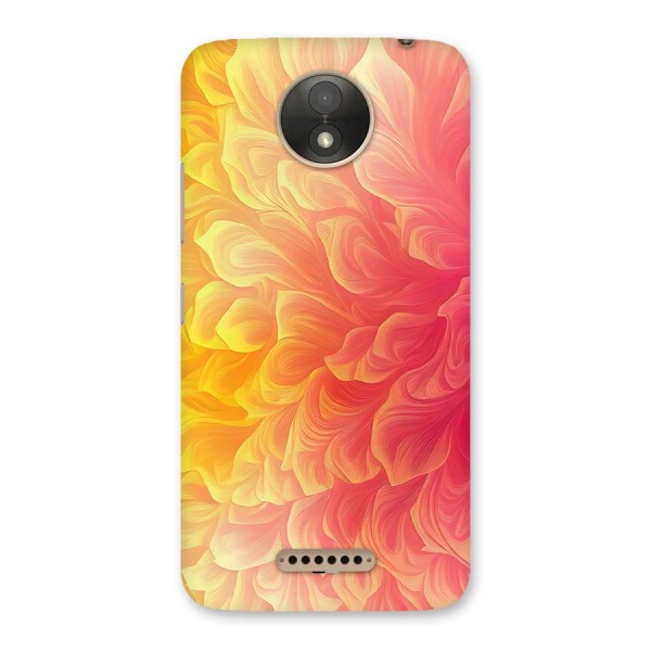 Amazing Vibrant Pattern Back Case for Moto C Plus