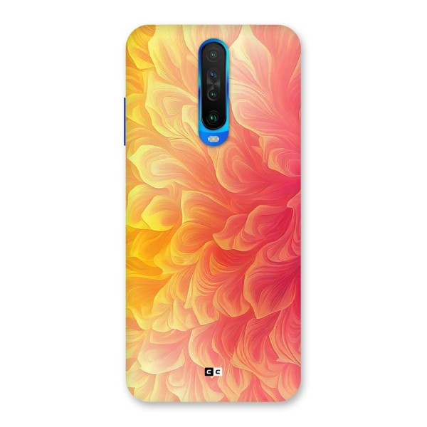 Amazing Vibrant Pattern Back Case for Poco X2