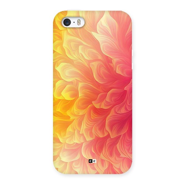 Amazing Vibrant Pattern Back Case for iPhone SE 2016