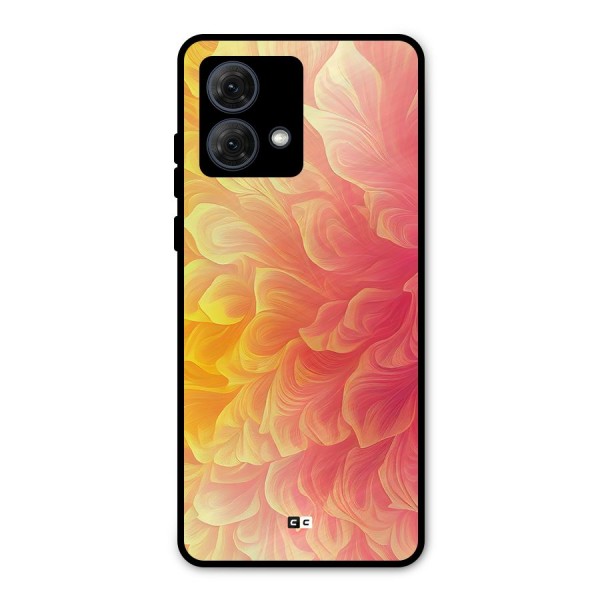 Amazing Vibrant Pattern Metal Back Case for Moto G84