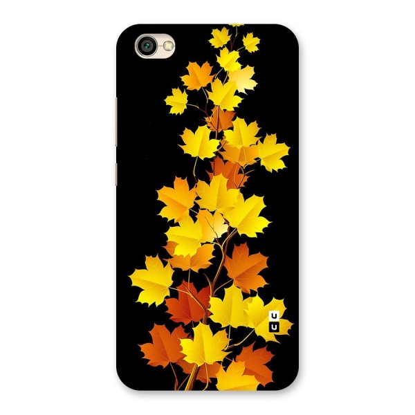 Autumn Forest Leaves Back Case for Redmi Y1 Lite