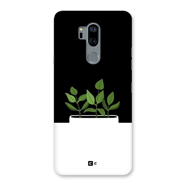 Beautiful Plant Pot Minimalistic Back Case for LG G7
