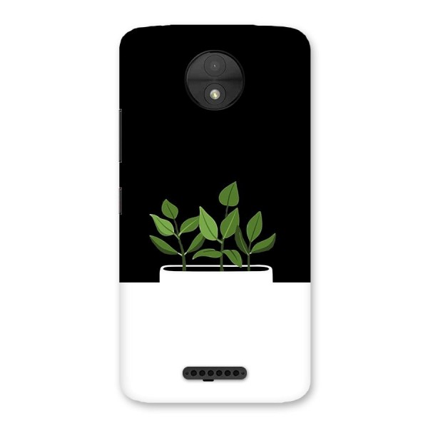 Beautiful Plant Pot Minimalistic Back Case for Moto C
