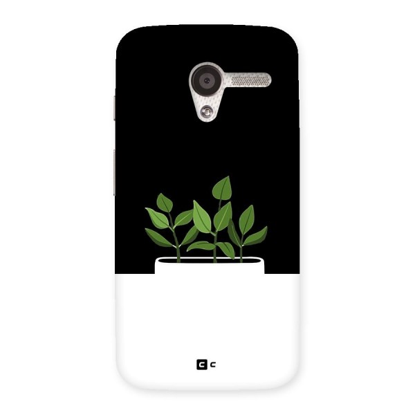 Beautiful Plant Pot Minimalistic Back Case for Moto X